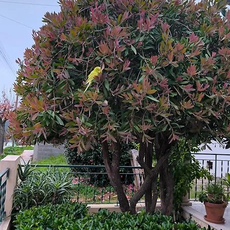 Por A Mor Figueiró dos Vinhos